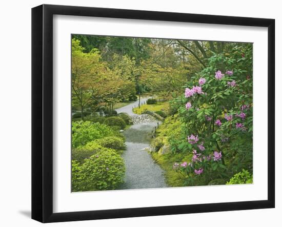 Japanese Garden at the Washington Park Arboretum, Seattle, Washington, USA-Dennis Flaherty-Framed Photographic Print