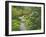 Japanese Garden at the Washington Park Arboretum, Seattle, Washington, USA-Dennis Flaherty-Framed Photographic Print