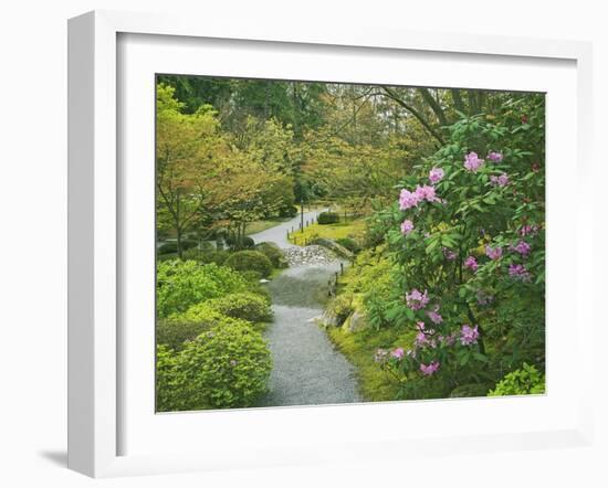 Japanese Garden at the Washington Park Arboretum, Seattle, Washington, USA-Dennis Flaherty-Framed Photographic Print