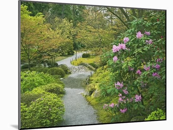 Japanese Garden at the Washington Park Arboretum, Seattle, Washington, USA-Dennis Flaherty-Mounted Photographic Print