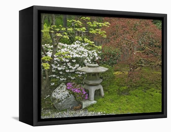 Japanese Garden at the Washington Park Arboretum, Seattle, Washington, USA-Dennis Flaherty-Framed Premier Image Canvas