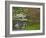 Japanese Garden at the Washington Park Arboretum, Seattle, Washington, USA-Dennis Flaherty-Framed Photographic Print