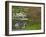 Japanese Garden at the Washington Park Arboretum, Seattle, Washington, USA-Dennis Flaherty-Framed Photographic Print