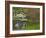 Japanese Garden at the Washington Park Arboretum, Seattle, Washington, USA-Dennis Flaherty-Framed Photographic Print