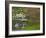 Japanese Garden at the Washington Park Arboretum, Seattle, Washington, USA-Dennis Flaherty-Framed Photographic Print