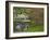 Japanese Garden at the Washington Park Arboretum, Seattle, Washington, USA-Dennis Flaherty-Framed Photographic Print