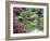 Japanese Garden, Brooklyn Botanical Garden, Brooklyn-Christian Kober-Framed Photographic Print