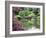 Japanese Garden, Brooklyn Botanical Garden, Brooklyn-Christian Kober-Framed Photographic Print