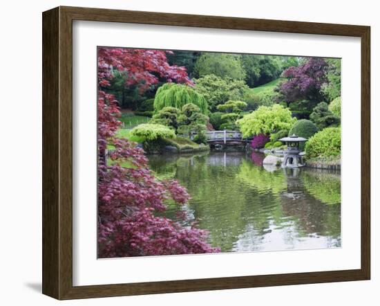 Japanese Garden, Brooklyn Botanical Garden, Brooklyn-Christian Kober-Framed Photographic Print