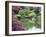 Japanese Garden, Brooklyn Botanical Garden, Brooklyn-Christian Kober-Framed Photographic Print