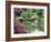 Japanese Garden, Brooklyn Botanical Garden, Brooklyn-Christian Kober-Framed Photographic Print