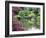 Japanese Garden, Brooklyn Botanical Garden, Brooklyn-Christian Kober-Framed Photographic Print