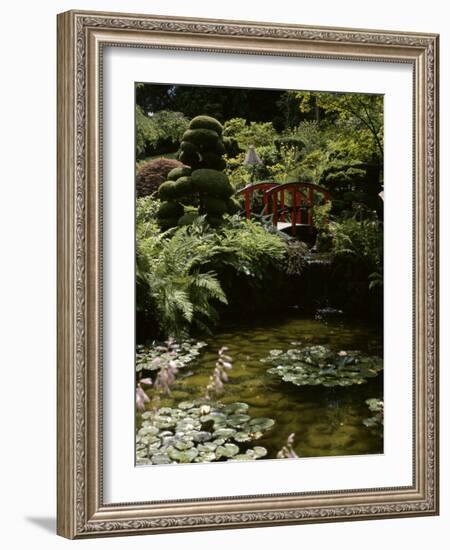 Japanese Garden, Canada-null-Framed Photographic Print