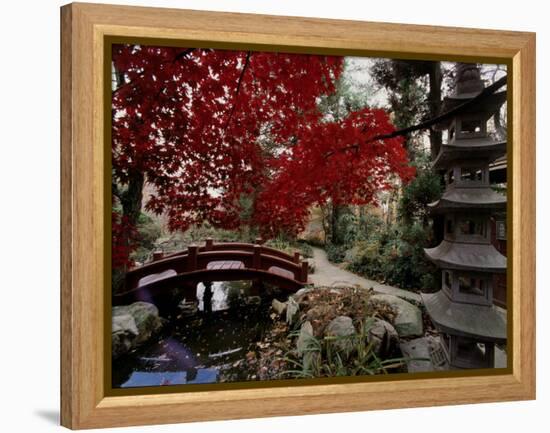 Japanese Garden Hillwood Museum and Gardens, Washington, D.C. USA-null-Framed Premier Image Canvas