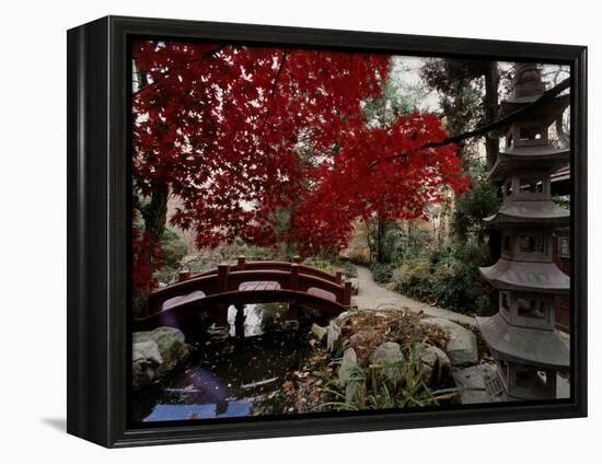 Japanese Garden Hillwood Museum and Gardens, Washington, D.C. USA-null-Framed Premier Image Canvas