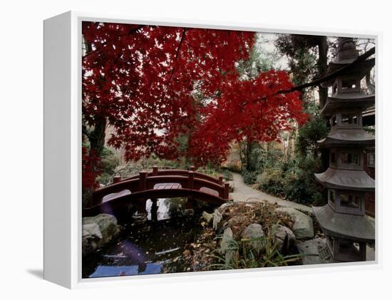 Japanese Garden Hillwood Museum and Gardens, Washington, D.C. USA-null-Framed Premier Image Canvas