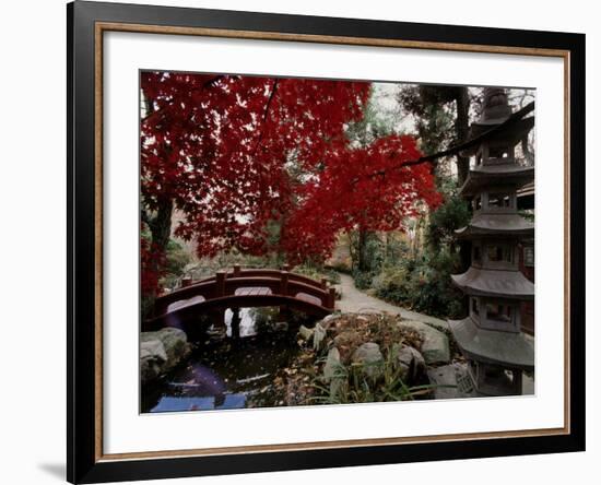 Japanese Garden Hillwood Museum and Gardens, Washington, D.C. USA-null-Framed Photographic Print