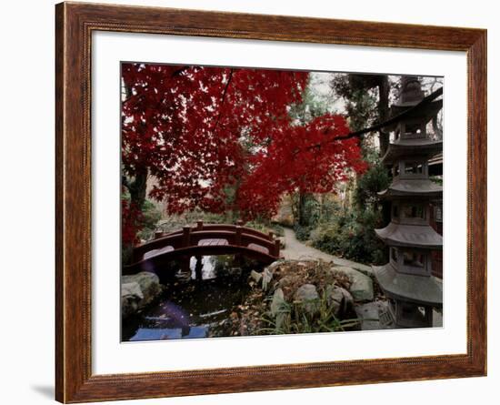 Japanese Garden Hillwood Museum and Gardens, Washington, D.C. USA-null-Framed Photographic Print