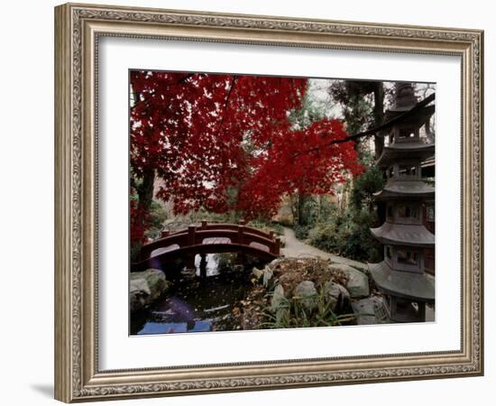 Japanese Garden Hillwood Museum and Gardens, Washington, D.C. USA-null-Framed Photographic Print