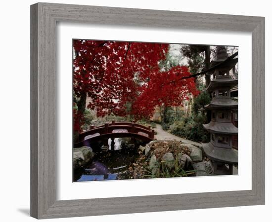 Japanese Garden Hillwood Museum and Gardens, Washington, D.C. USA-null-Framed Photographic Print