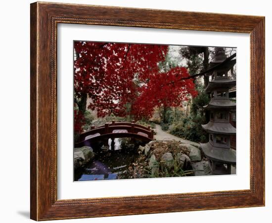 Japanese Garden Hillwood Museum and Gardens, Washington, D.C. USA-null-Framed Photographic Print