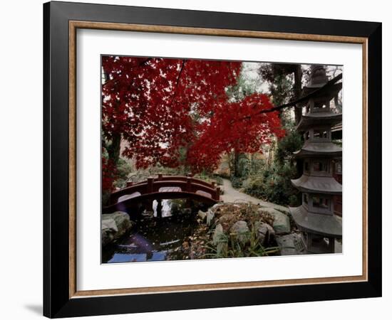 Japanese Garden Hillwood Museum and Gardens, Washington, D.C. USA-null-Framed Photographic Print