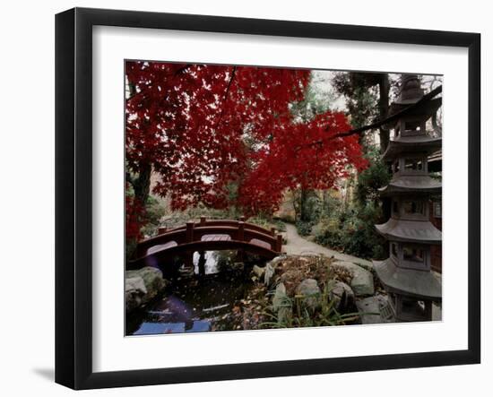 Japanese Garden Hillwood Museum and Gardens, Washington, D.C. USA-null-Framed Photographic Print