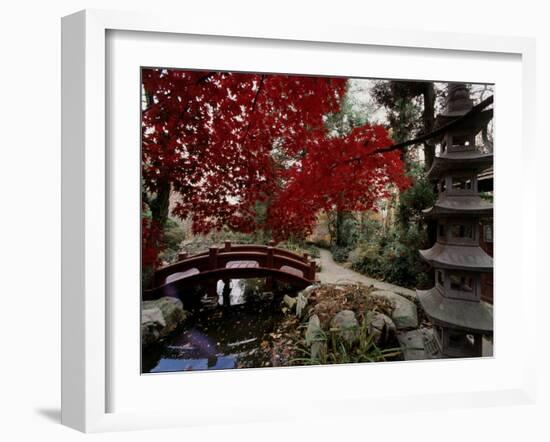 Japanese Garden Hillwood Museum and Gardens, Washington, D.C. USA-null-Framed Photographic Print