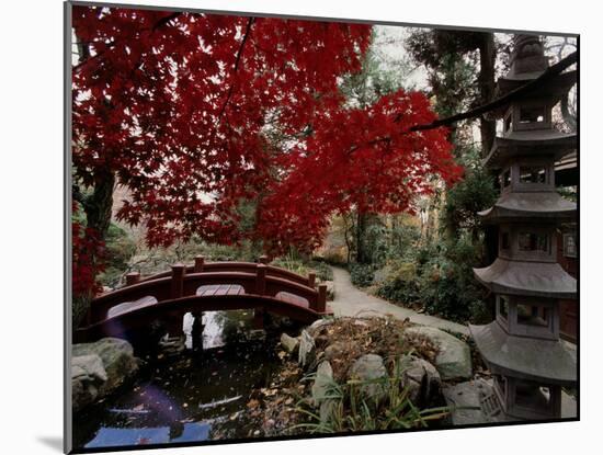 Japanese Garden Hillwood Museum and Gardens, Washington, D.C. USA-null-Mounted Photographic Print
