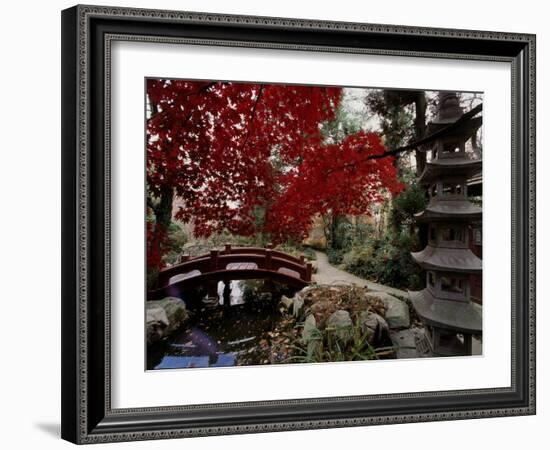 Japanese Garden Hillwood Museum and Gardens, Washington, D.C. USA-null-Framed Photographic Print