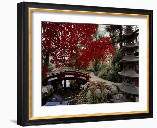 Japanese Garden Hillwood Museum and Gardens, Washington, D.C. USA-null-Framed Photographic Print