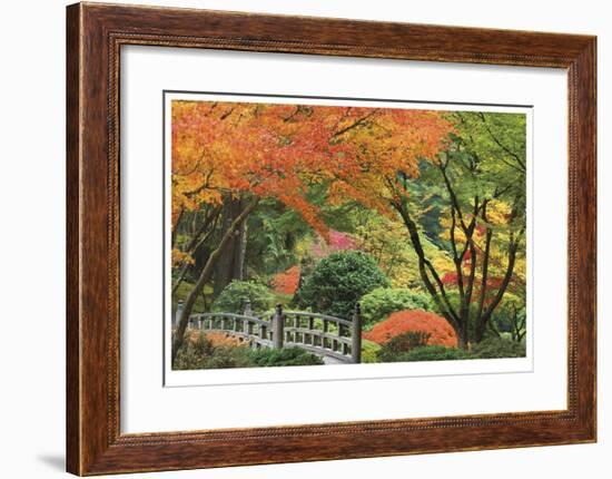 Japanese Garden I-Donald Paulson-Framed Giclee Print