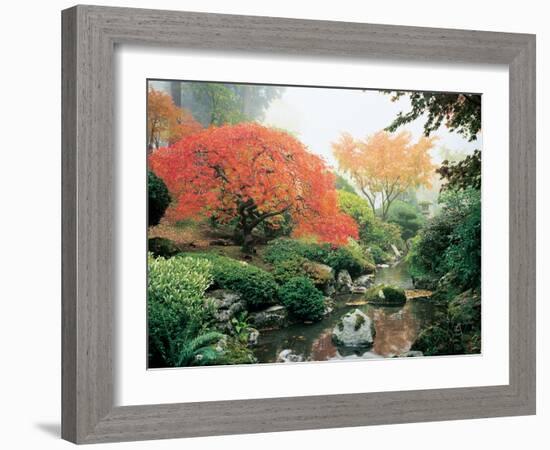 Japanese Garden I-Maureen Love-Framed Photographic Print