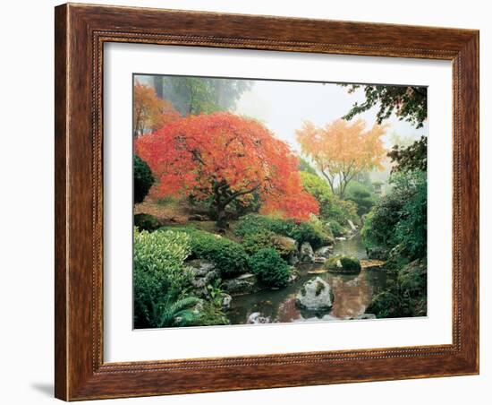 Japanese Garden I-Maureen Love-Framed Photographic Print