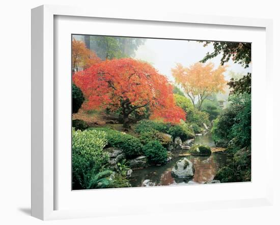 Japanese Garden I-Maureen Love-Framed Photographic Print