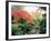 Japanese Garden I-Maureen Love-Framed Photographic Print