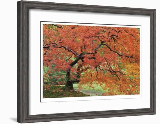 Japanese Garden II-Donald Paulson-Framed Giclee Print