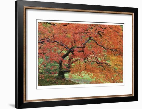 Japanese Garden II-Donald Paulson-Framed Giclee Print