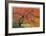 Japanese Garden II-Donald Paulson-Framed Giclee Print