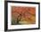 Japanese Garden II-Donald Paulson-Framed Giclee Print