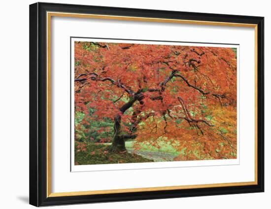 Japanese Garden II-Donald Paulson-Framed Giclee Print