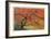 Japanese Garden II-Donald Paulson-Framed Giclee Print