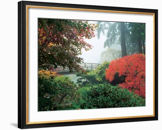 Japanese Garden II-Maureen Love-Framed Photographic Print