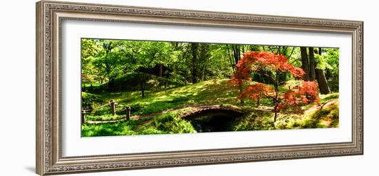 Japanese Garden II-Alan Hausenflock-Framed Photo