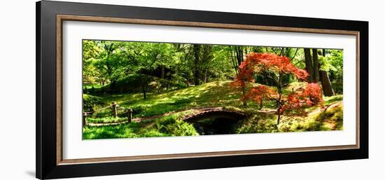 Japanese Garden II-Alan Hausenflock-Framed Photo