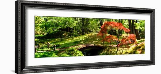 Japanese Garden II-Alan Hausenflock-Framed Photo