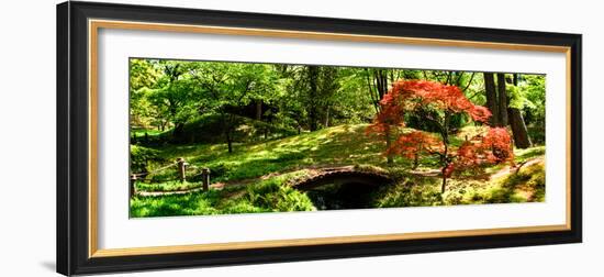 Japanese Garden II-Alan Hausenflock-Framed Photo