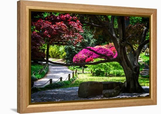 Japanese Garden III-Alan Hausenflock-Framed Stretched Canvas