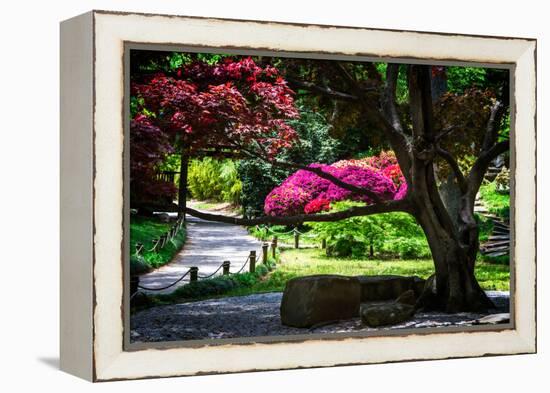 Japanese Garden III-Alan Hausenflock-Framed Stretched Canvas