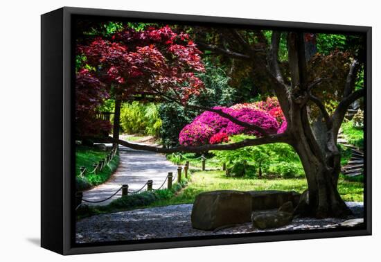 Japanese Garden III-Alan Hausenflock-Framed Stretched Canvas